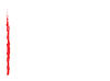 Iyengar Yoga Dubai